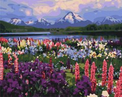 Картина за номерами: Долина польових квітів зображення 1