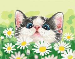 Картина за номерами: Котик в ромашках зображення 1