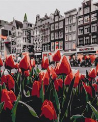 Картина по номерам: Тюльпаны Амстердама фото 1