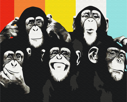 Картина за номерами: Портрет шимпанзе зображення 1