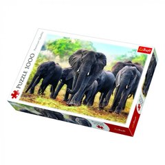 Пазл Африканські слони 1000 ел. зображення 1