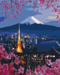 Картина по номерам: Путешествие по Японии фото 1