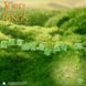 Набор кубиков The Lord of the Rings: Shire 10xD6 Dice Set