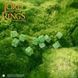 Набор кубиков The Lord of the Rings: Shire 10xD6 Dice Set