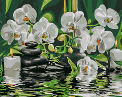 Картина по номерам: Спокойствие у орхидей фото 1