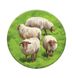 Каркассон: Пагорби І Вівці (Carcassonne: Expansion 9 - Hills & Sheep)