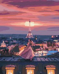 Картина по номерам: Фантастический вечер в Париже фото 1