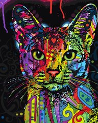 Преміум картина за номерами: Абісинська кішка зображення 1