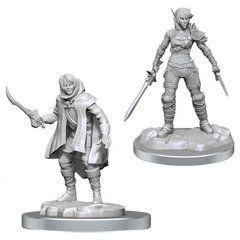 Миниатюры D&D Nolzurs Marvelous Minis W19 Elf Rogue & Half-Elf Rogue Protege фото 1
