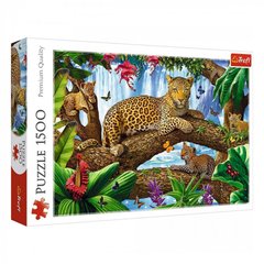 Пазл Леопарды на дереве 1500 эл.